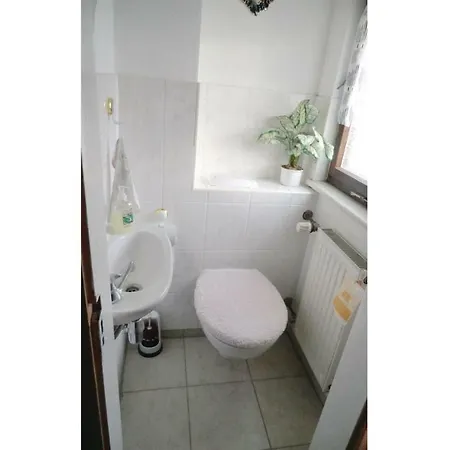 Stunning In Gelenauerz Amtsberg